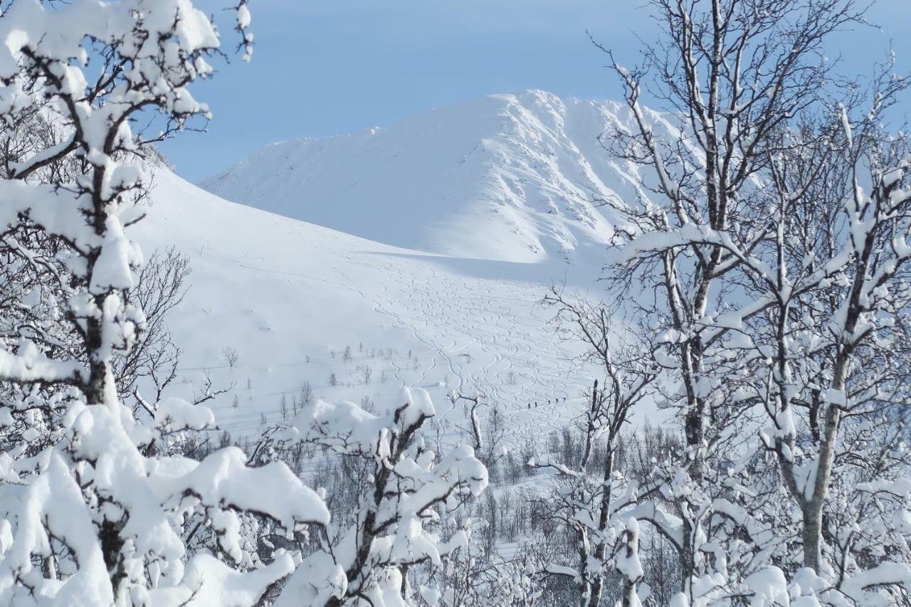 Lyngseidet Magic Mountain Lodge - Lyngen מראה חיצוני תמונה